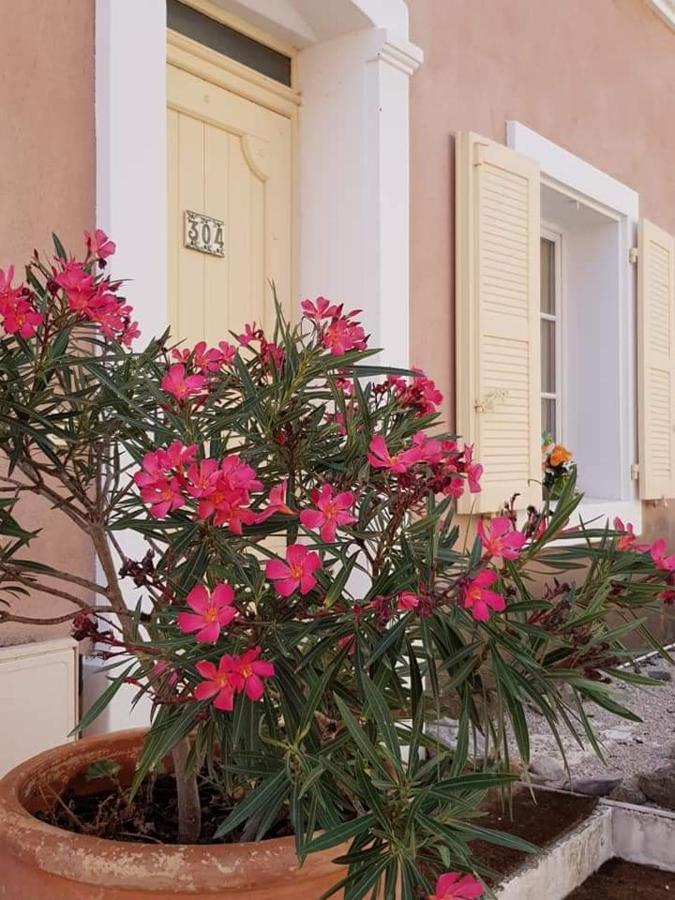 Provencal House In Fayence With Pool & Indoor Spa 外观 照片